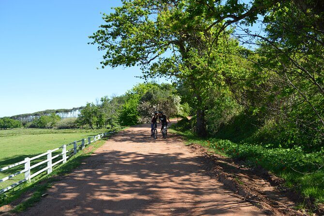Franschhoek Winelands Meander © - Meeting and Timing