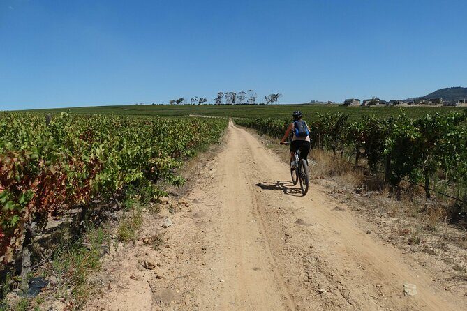 Franschhoek Winelands Meander © - Authentic Experiences and Tips