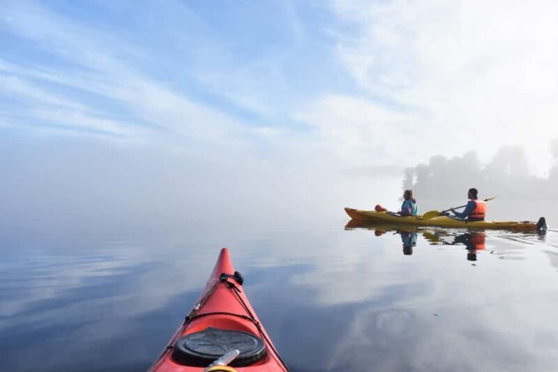 Franz Josef: 3-Hour Kayak Tour on Lake Mapourika - Key Points