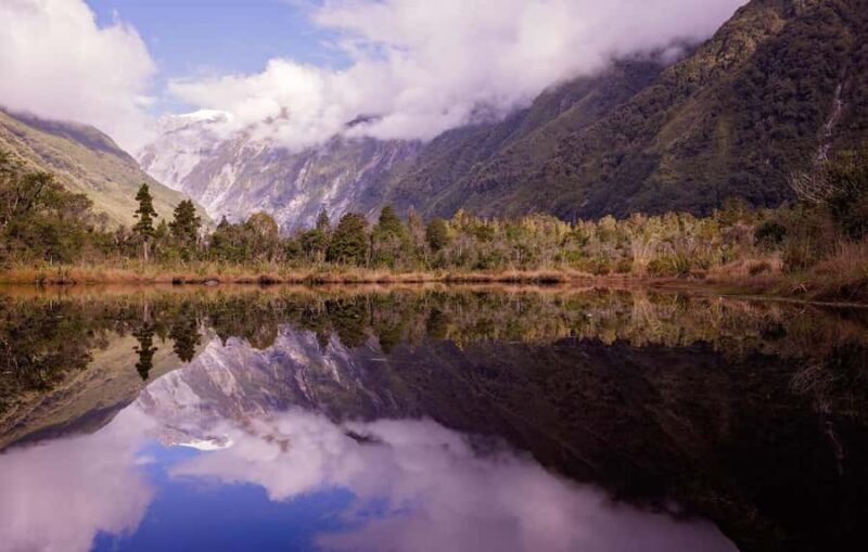 Franz Josef: Franz Josef Glacier Lookout Guided Walk - Who Will Love This Tour?