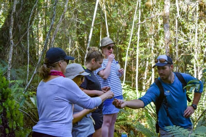 Franz Josef Glacier: 2.5-Hour Lake Mapourika Cruise and Walk - Who Will Love This Tour?