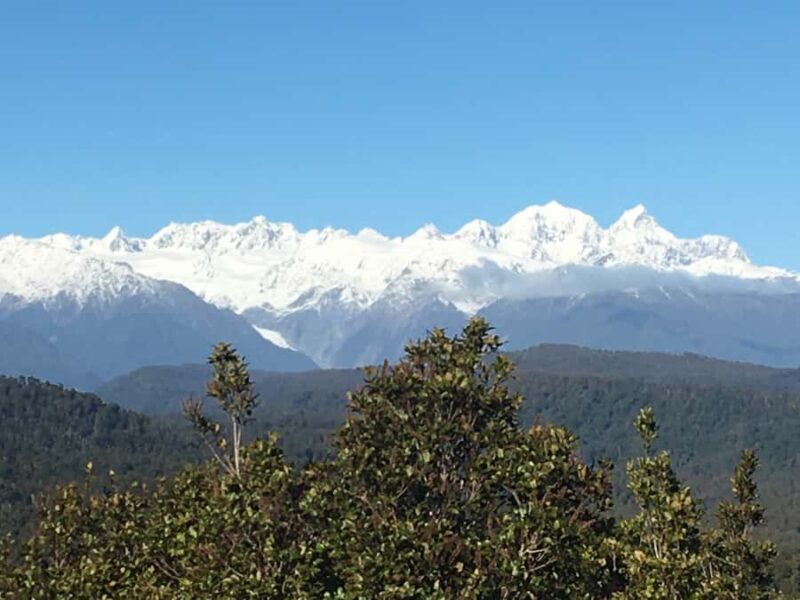 Franz Josef: Half-Day Guided Tour to Okarito - Key Points