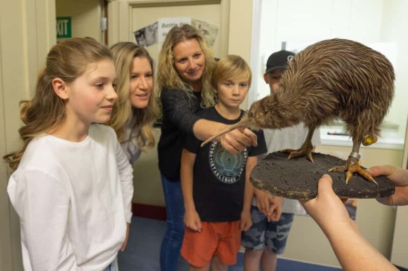 Franz Josef: Kiwi VIP Backstage Pass Tour -Booking Essential - Final Thoughts