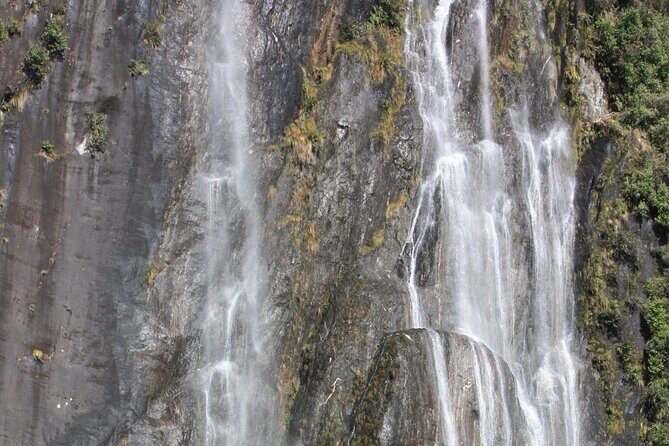 Franz Josef Nature Tour - FAQ