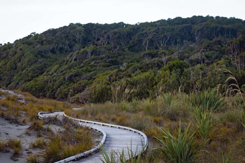 Franz Josef to Queenstown small group tour (One-Way) - Who Should Consider This Tour?