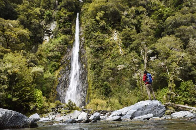 Franz Josef: to Wanaka Small Group 1 Way Tour with Lunch - Transportation & Comfort