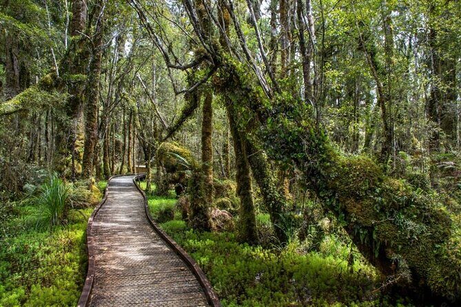 Franz Josef to Wanaka Small-Group Tour (One-Way) Includes Lunch - What Travelers Say
