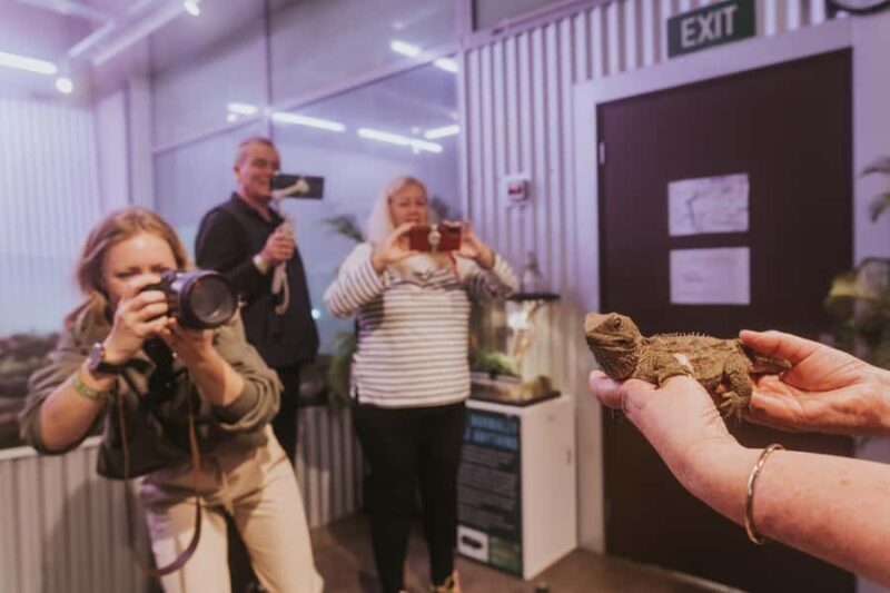 Franz Josef: West Coast Wildlife Centre Entry Ticket -48 hrs - What Visitors Say: Authentic Perspectives