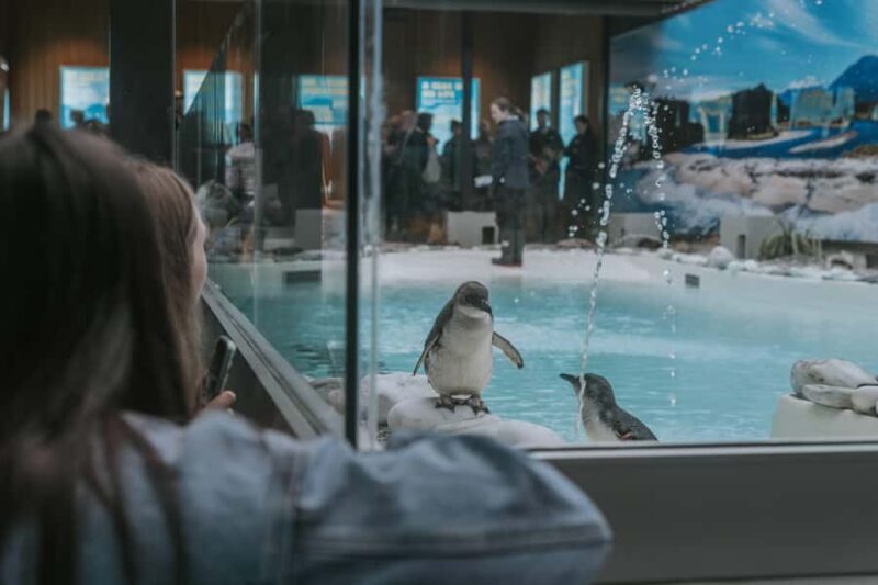 Franz Josef: West Coast Wildlife Centre Entry Ticket -48 hrs - Who Will Love This Experience?