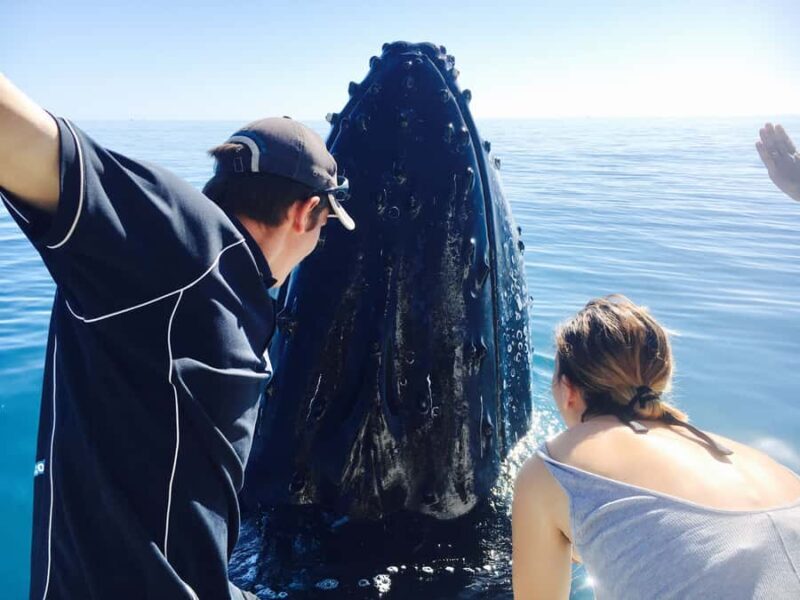 Fraser Island (K'gari): Remote Island and Whale Experience - Discovering Fraser Islands Remote Side and Whale Encounters