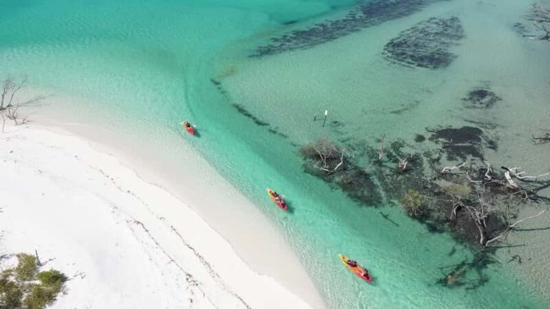 Fraser Island (K'gari): Remote Island and Whale Experience - Why This Tour Offers Great Value