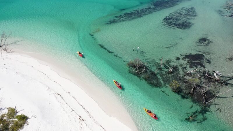 Fraser Island (K'gari): Remote Island and Whale Experience - The Experience of Being on the Water