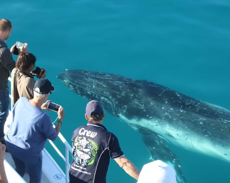 Fraser Island (K'gari): Remote Island and Whale Experience - Practical Details and Tips