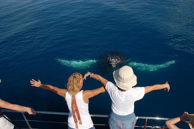 Fraser Island Whale Watch Encounter - FAQs