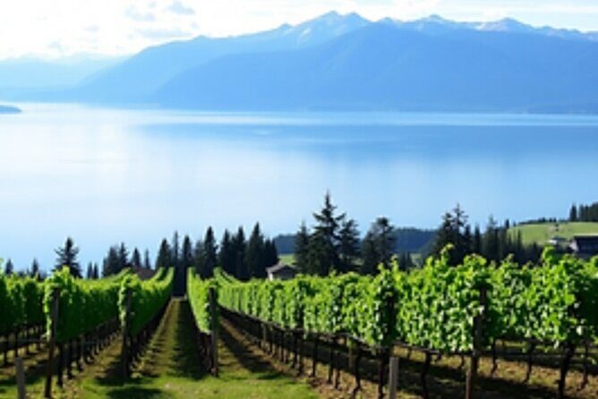 Fraser Valley Wine Escape Full Day Tour from Vancouver - The Experience at a Glance