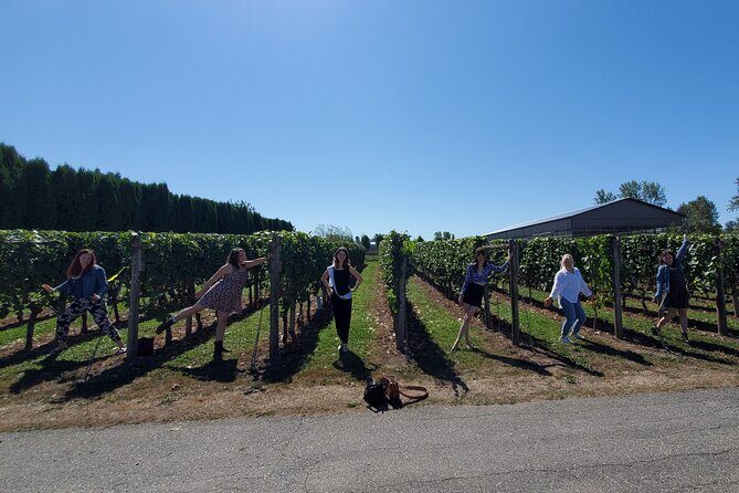 Fraser Valley Wine Tour from Vancouver with a Light Lunch - Who Will Love This Tour?