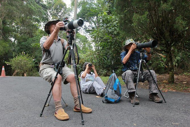 Fraser's Hill Bird-Watching & Nature Sightseeing Tour from Kuala Lumpur - A Detailed Look at the Tour Itinerary