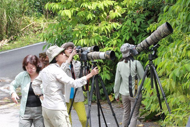 Fraser's Hill Bird-Watching & Nature Sightseeing Tour from Kuala Lumpur - The Value & Who Should Consider This Tour