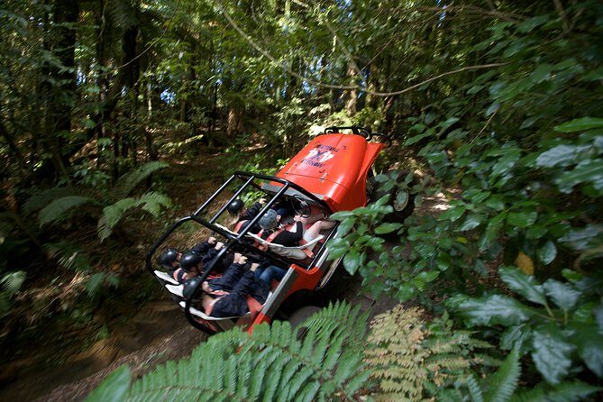 Freak of Nature at Off Road NZ - The Vehicles: Built for Adventure