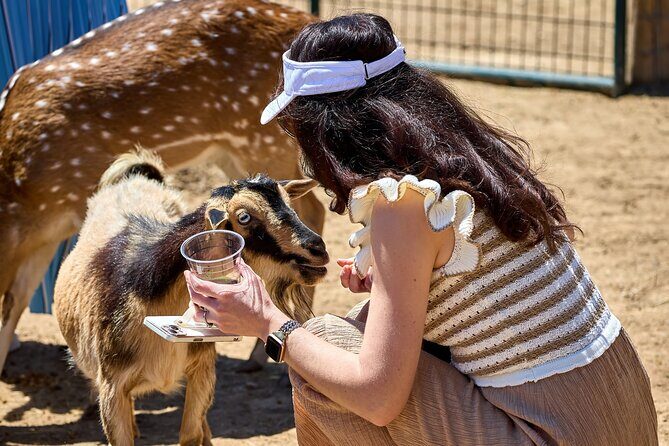 Fredericksburg Safari Tour With Wine Tasting - FAQ