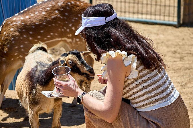 Fredericksburg Safari Tour Without Wine Tasting - The Sum Up