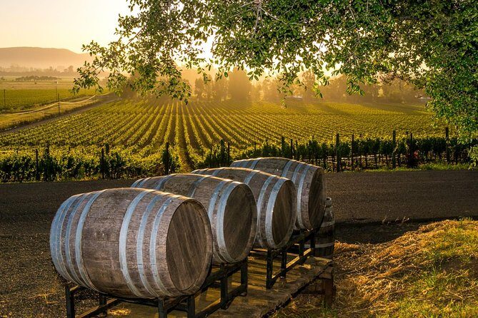 Fredericksburg Wine Tour with Three Winery Stops Plus Lunch - An Insider’s Look at the Fredericksburg Wine Tour Experience