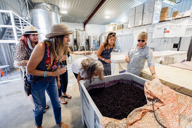 Fredericksburg Wine Trolley - Air Conditioned and Heated! - Who Will Love This Tour?