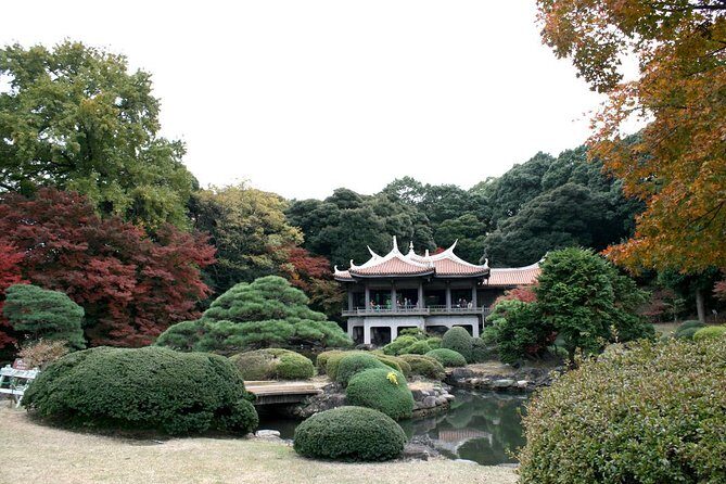 Free Choice of Itineraries Tokyo Private Tour - Practical Considerations