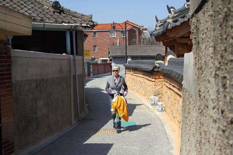 Free day in Jeonju, heart of traditional Korea, with a French guide - Why Choose This Tour? A Deep Dive