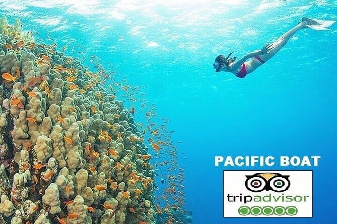 [Free E-sim] Da Nang Coastal Charm Half Day Cafe Tour - FAQ