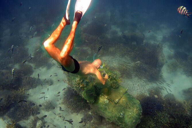 Freedive trip Koh Kood or Koh Rang National Park ( start at Ko Kut) - The Complete Experience: What to Expect from Start to Finish
