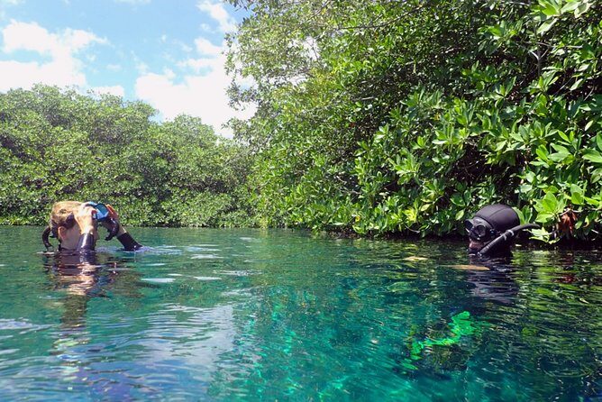 Freediving Intro for Beginners in a Cenote in Tulum Mexico - FAQs
