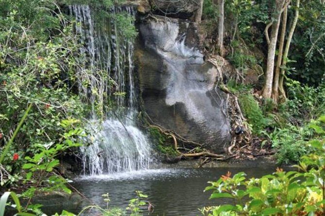 Freeport Shore Excursion: Garden of the Groves and City Tour - Key Points