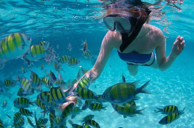 Freeport Snorkeling Peterson Cay National Park and Hotel Day Pass - Final Word