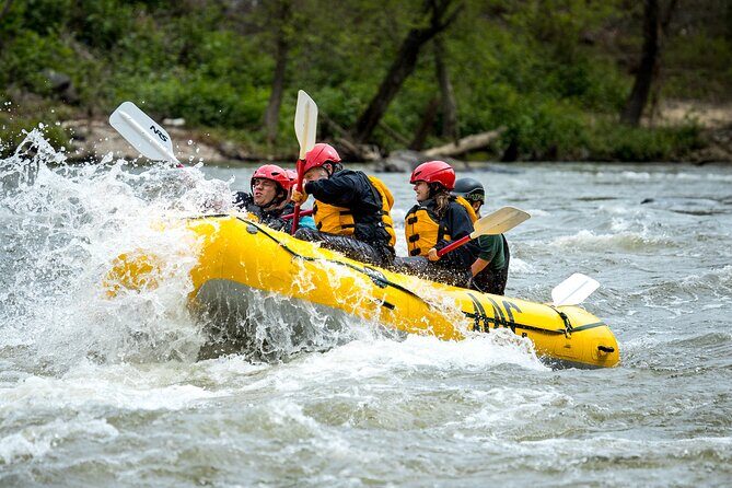 French Broad Gorge Whitewater Rafting Trip - Overview of the French Broad Gorge Whitewater Rafting Experience