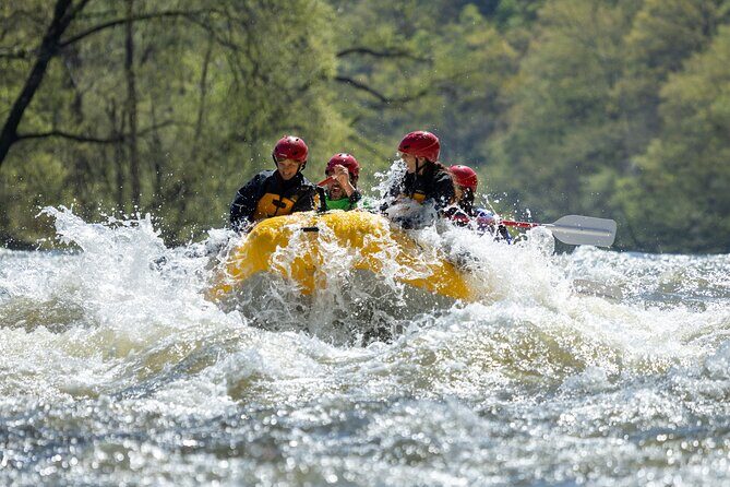 French Broad Gorge Whitewater Rafting Trip - The Guides: The Real Stars