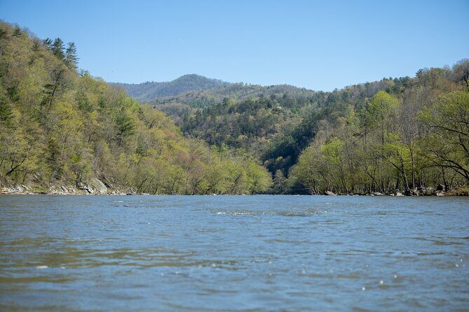 French Broad Gorge Whitewater Rafting Trip - Group Size and Atmosphere