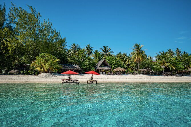 French Polynesia Snorkeling and 4X4 Adventure Tour with Buffet - Introduction: A Well-Rounded Day on Bora Bora
