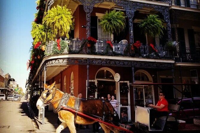 French Quarter Tour with Local Guide and Creole Stories - Introduction