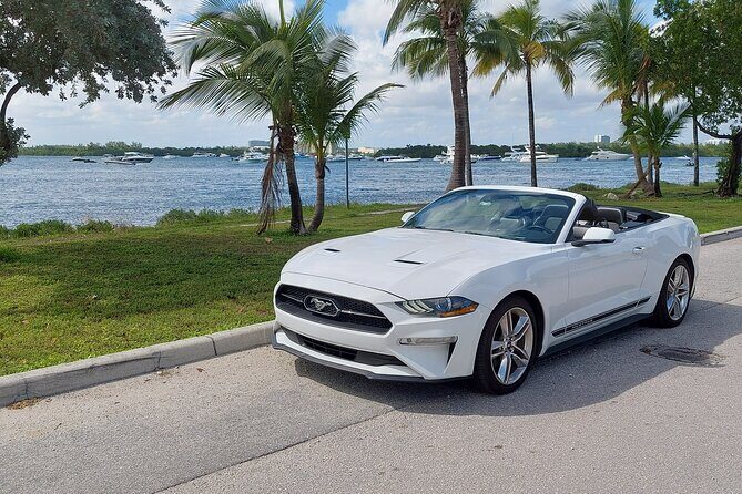 French tour of Miami in convertible mustang - An Authentic, Stylish Way to Explore Miami