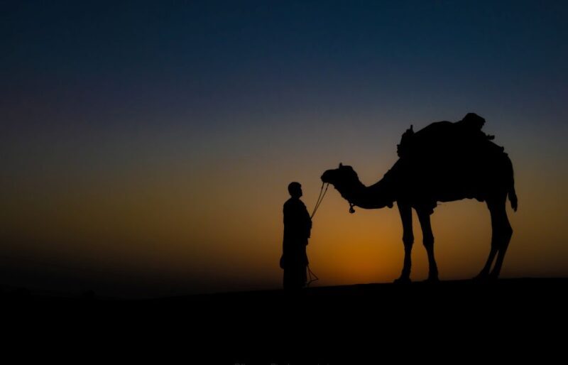 Frenzy Paradise Overnight Thar Desert Camping Tour - Practical Details for Travelers