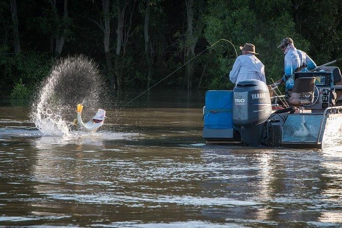 Freshwater or Saltwater Barramundi Fishing Day Trip from Darwin - Insights from Recent Reviews