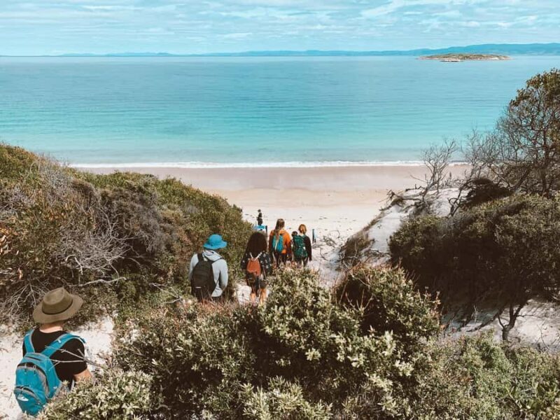 Freycinet: 5.5-Hr Small Group Guided Walk + Boat Experience - Who Should Book This Tour?