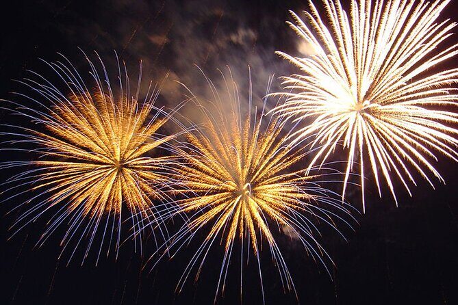 Friday Fireworks Dinner Sail from the Hilton Hawaiian Village - FAQ