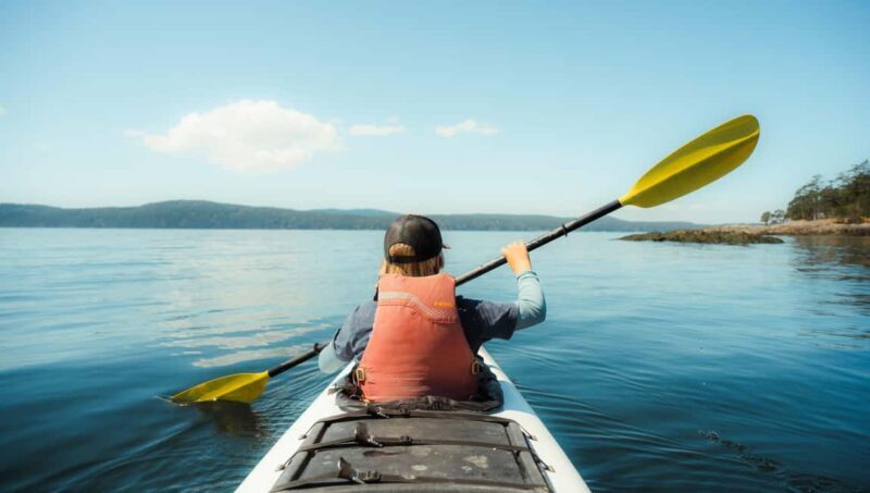 Friday Harbor: Half-Day Family Kayaking and Hiking Tour - Key Points