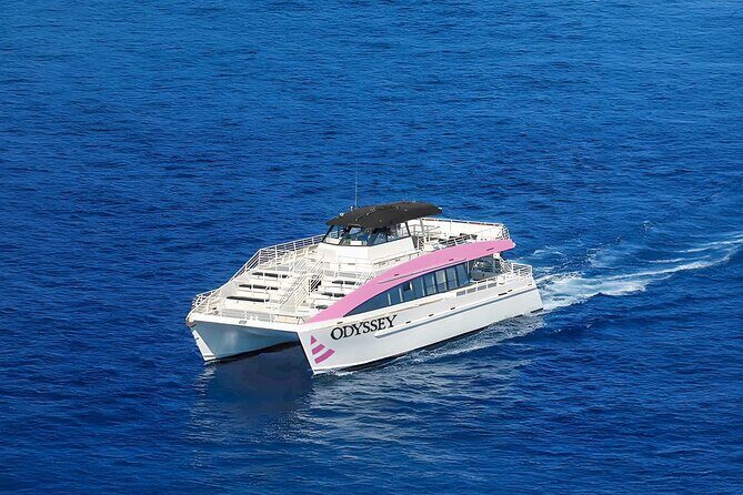 Friday Night Waikiki Fireworks Catamaran Cruise - Who Will Enjoy This Tour?