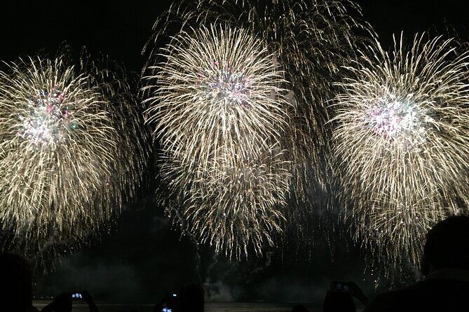 Friday Night Waikiki Fireworks Cruise - The Sum Up