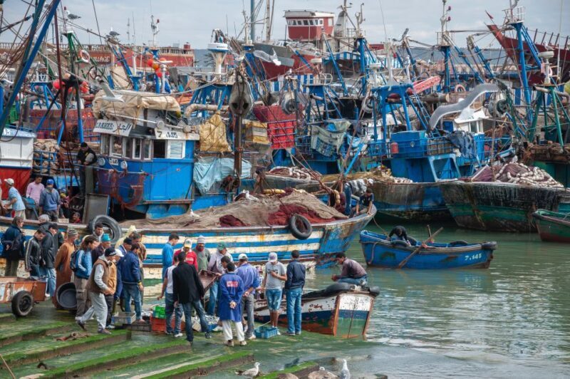 Friend-Guide Essaouira city tour - The Medina: Squares, Alleys, and Heritage