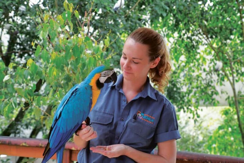 Friends in the Rainforest Package: Koala Gardens & Birdworld - Who Is This Tour Best For?