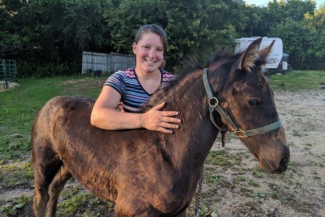 Friesian Herd Tours, Workshops, Classes and Retreats in the Kettle Moraine area. - Who Will Love This Experience?